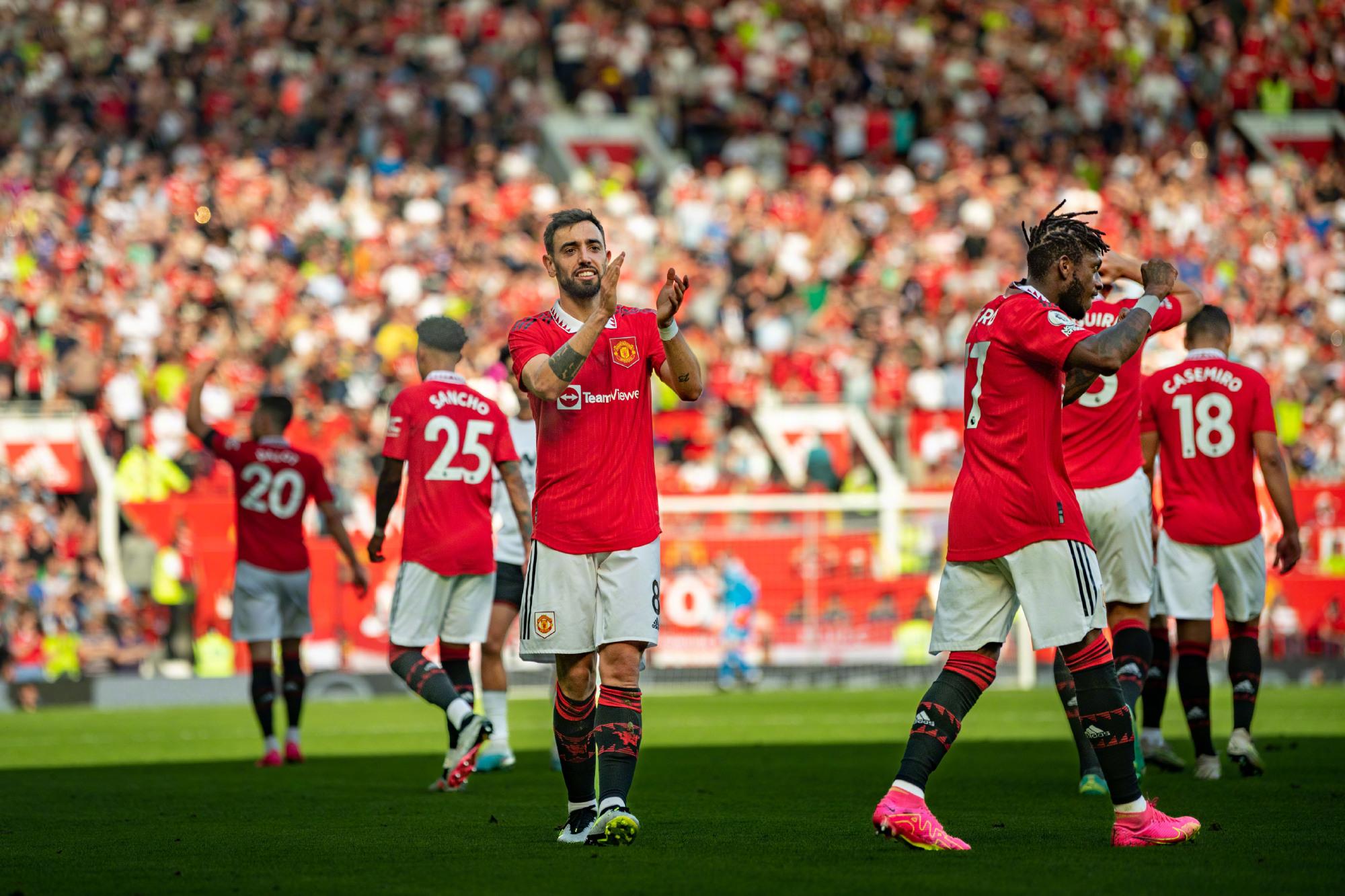 们巨大潜力 们巨大潜力